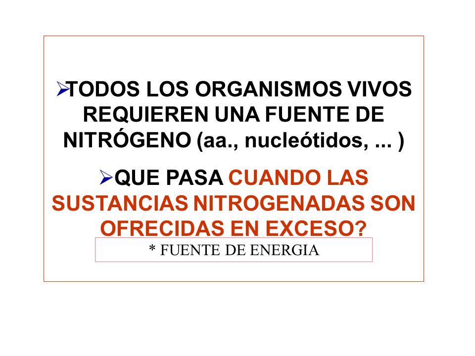 QUE PASA CUANDO LAS SUSTANCIAS NITROGENADAS SON OFRECIDAS EN EXCESO