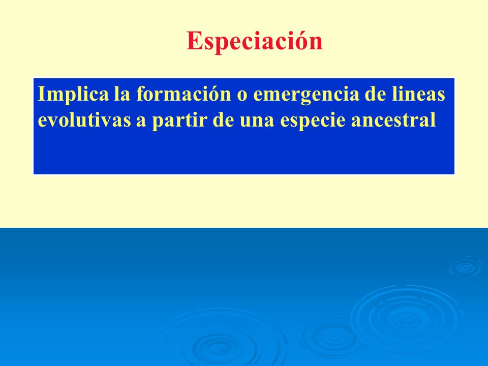 Especiación Implica la formación o emergencia de lineas evolutivas a partir de una especie ancestral.