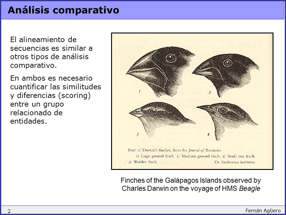 Análisis comparativo El alineamiento de secuencias es similar a otros tipos de análisis comparativo.