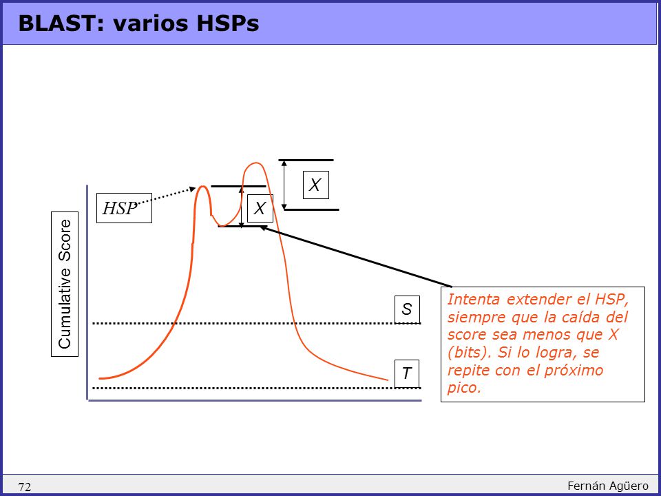 BLAST: varios HSPs HSP X X Cumulative Score S T