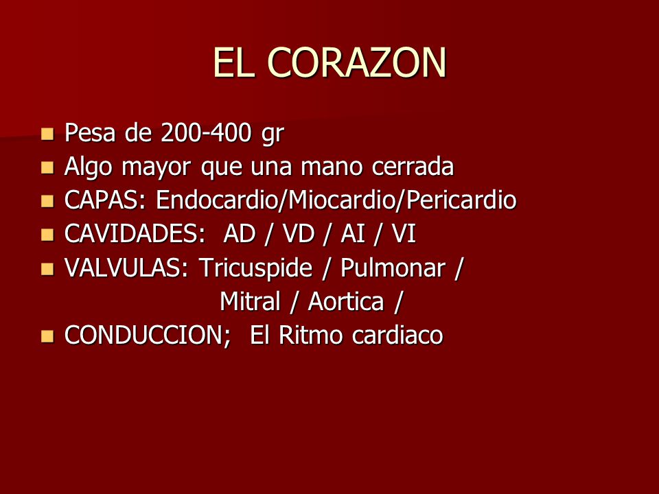 EL CORAZON Pesa de gr Algo mayor que una mano cerrada