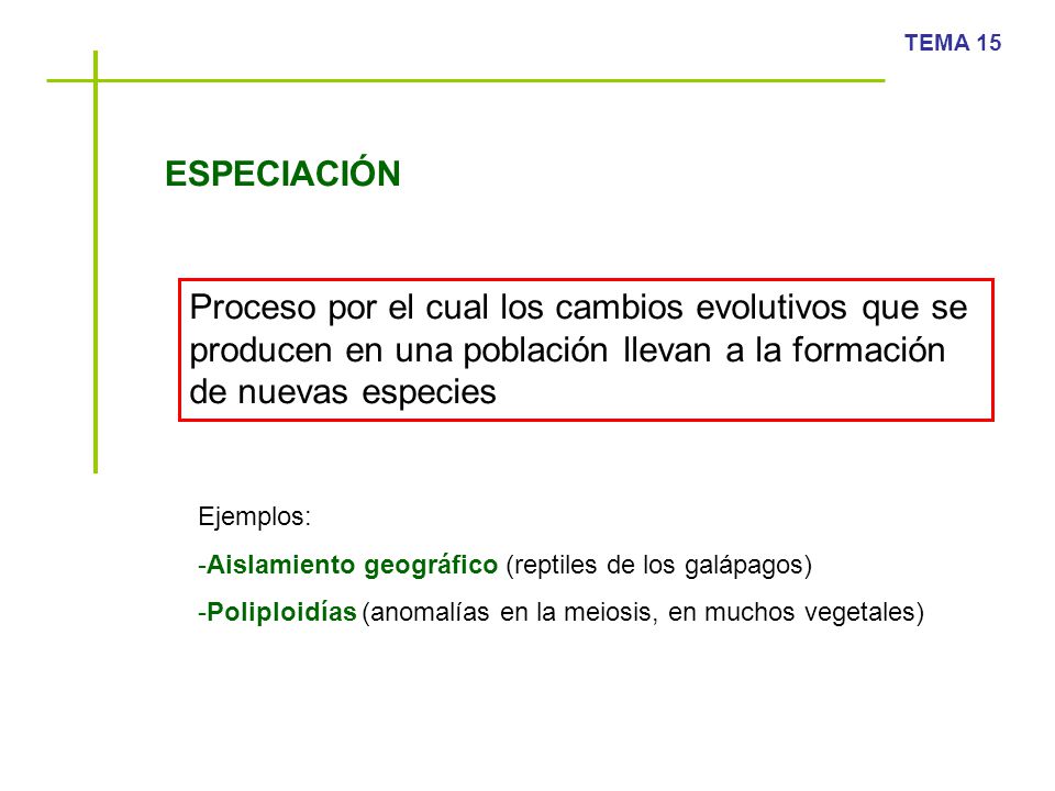 ESPECIACIÓN Proceso por el cual los cambios evolutivos que se producen en una población llevan a la formación de nuevas especies.