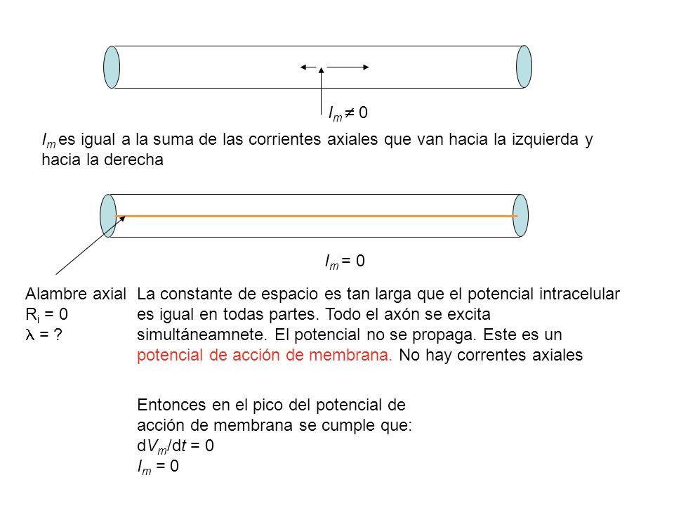 Im  0 Im es igual a la suma de las corrientes axiales que van hacia la izquierda y hacia la derecha.