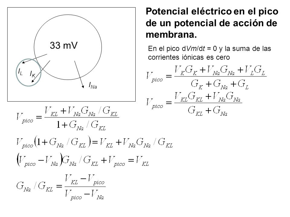 Potencial eléctrico en el pico de un potencial de acción de membrana.