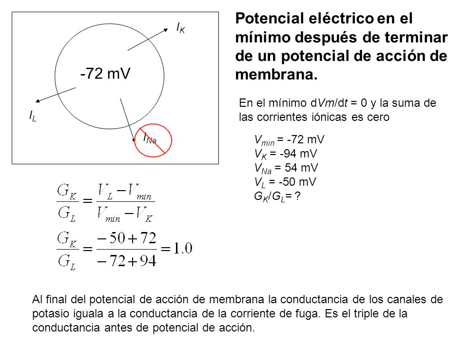 Potencial eléctrico en el mínimo después de terminar de un potencial de acción de membrana.
