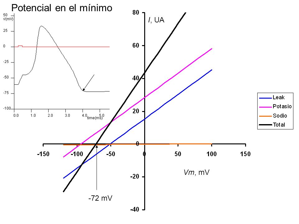 Potencial en el mínimo I, UA I, UA Vm, mV -72 mV
