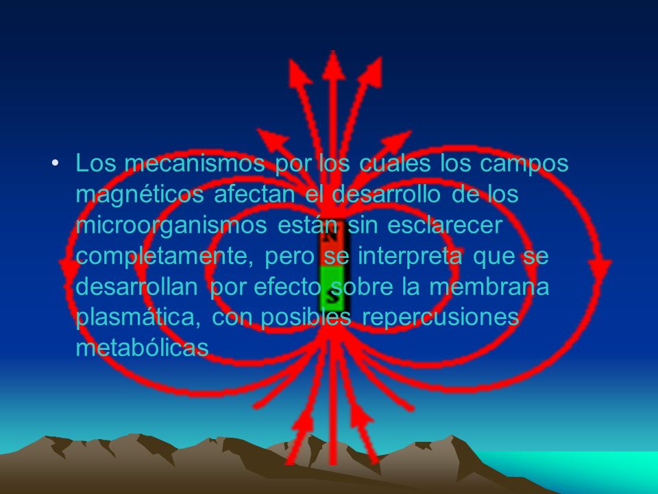 Los mecanismos por los cuales los campos magnéticos afectan el desarrollo de los microorganismos están sin esclarecer completamente, pero se interpreta que se desarrollan por efecto sobre la membrana plasmática, con posibles repercusiones metabólicas