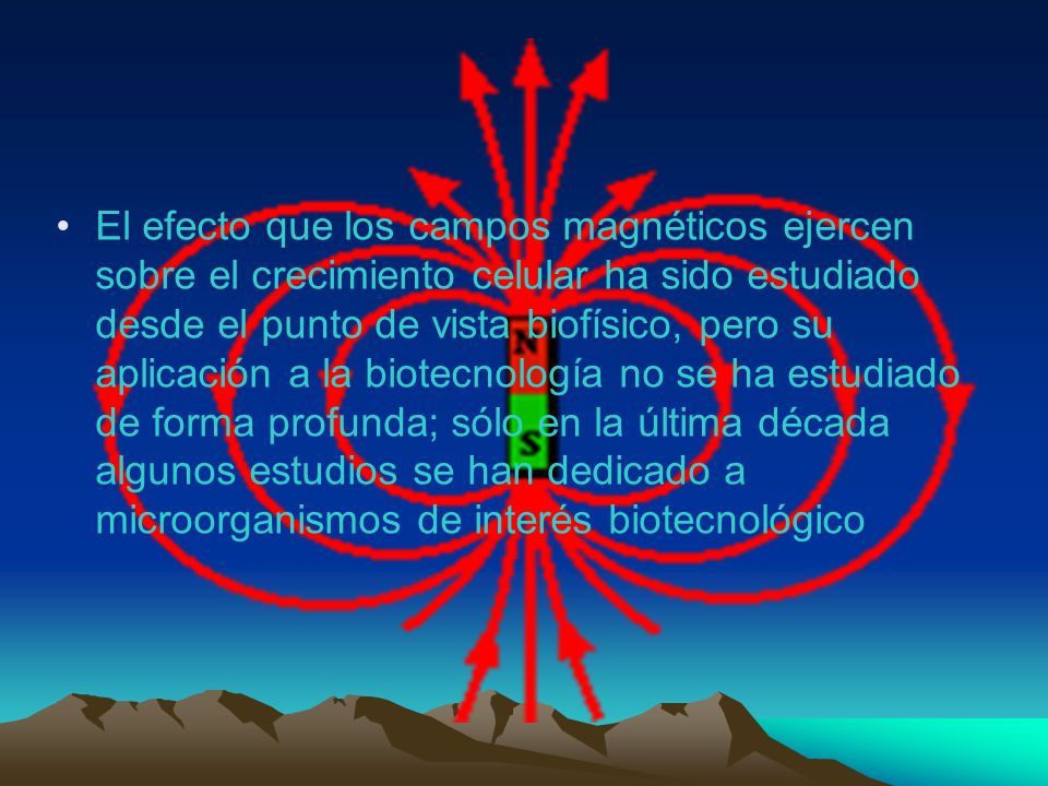 El efecto que los campos magnéticos ejercen sobre el crecimiento celular ha sido estudiado desde el punto de vista biofísico, pero su aplicación a la biotecnología no se ha estudiado de forma profunda; sólo en la última década algunos estudios se han dedicado a microorganismos de interés biotecnológico