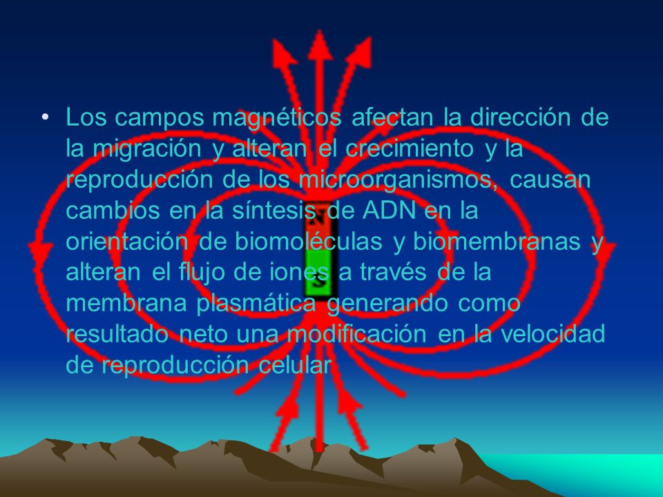 Los campos magnéticos afectan la dirección de la migración y alteran el crecimiento y la reproducción de los microorganismos, causan cambios en la síntesis de ADN en la orientación de biomoléculas y biomembranas y alteran el flujo de iones a través de la membrana plasmática generando como resultado neto una modificación en la velocidad de reproducción celular