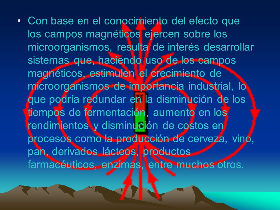 Con base en el conocimiento del efecto que los campos magnéticos ejercen sobre los microorganismos, resulta de interés desarrollar sistemas que, haciendo uso de los campos magnéticos, estimulen el crecimiento de microorganismos de importancia industrial, lo que podría redundar en la disminución de los tiempos de fermentación, aumento en los rendimientos y disminución de costos en procesos como la producción de cerveza, vino, pan, derivados lácteos, productos farmacéuticos, enzimas, entre muchos otros.