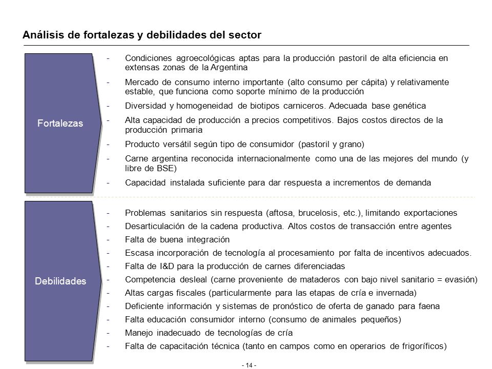 Análisis de fortalezas y debilidades del sector (Cont.)