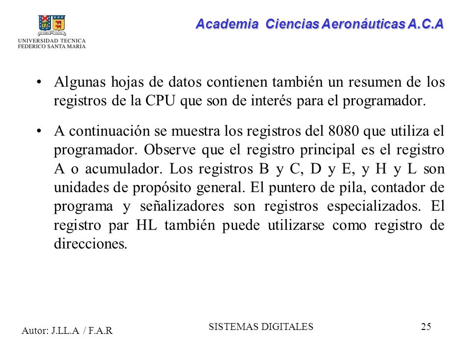 Algunas hojas de datos contienen también un resumen de los registros de la CPU que son de interés para el programador.