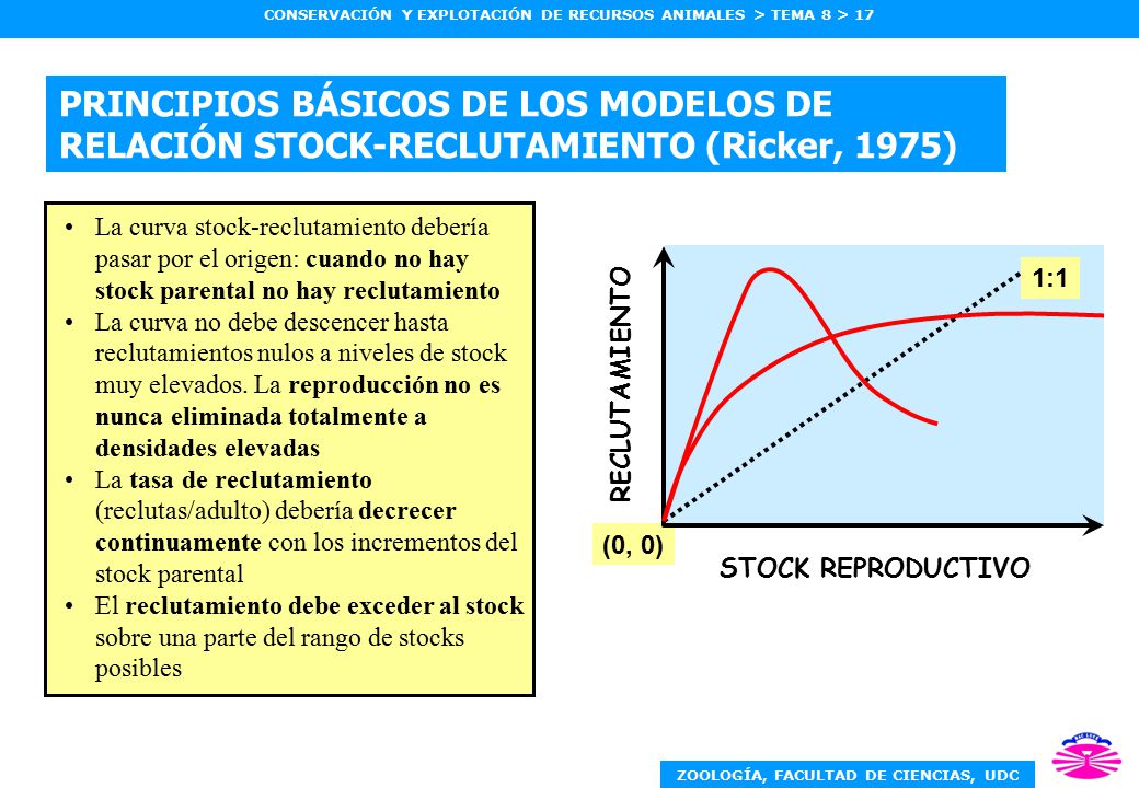 PRINCIPIOS BÁSICOS DE LOS MODELOS DE RELACIÓN STOCK-RECLUTAMIENTO (Ricker, 1975)