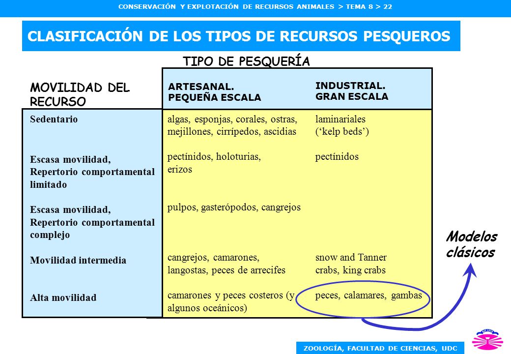 CLASIFICACIÓN DE LOS TIPOS DE RECURSOS PESQUEROS