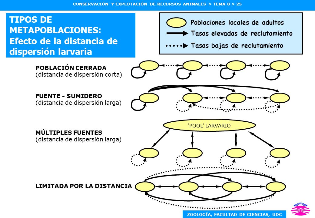 TIPOS DE METAPOBLACIONES: Efecto de la distancia de dispersión larvaria