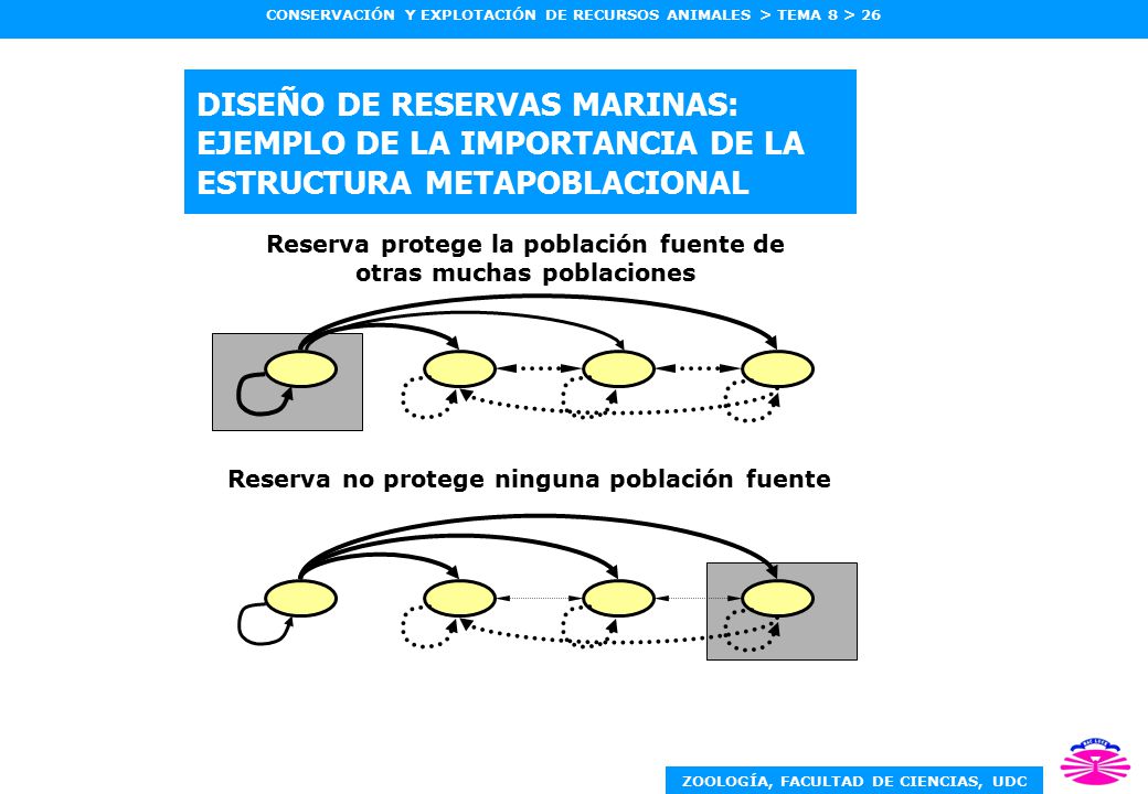 DISEÑO DE RESERVAS MARINAS: EJEMPLO DE LA IMPORTANCIA DE LA ESTRUCTURA METAPOBLACIONAL