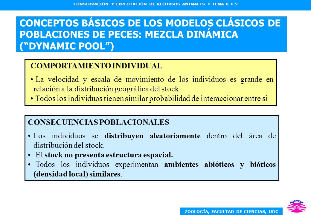 CONCEPTOS BÁSICOS DE LOS MODELOS CLÁSICOS DE POBLACIONES DE PECES: MEZCLA DINÁMICA ( DYNAMIC POOL )