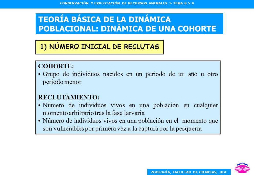 TEORÍA BÁSICA DE LA DINÁMICA POBLACIONAL: DINÁMICA DE UNA COHORTE