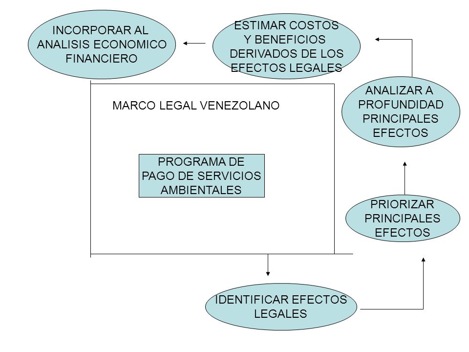 INCORPORAR AL ANALISIS ECONOMICO. FINANCIERO. ESTIMAR COSTOS. Y BENEFICIOS. DERIVADOS DE LOS. EFECTOS LEGALES.