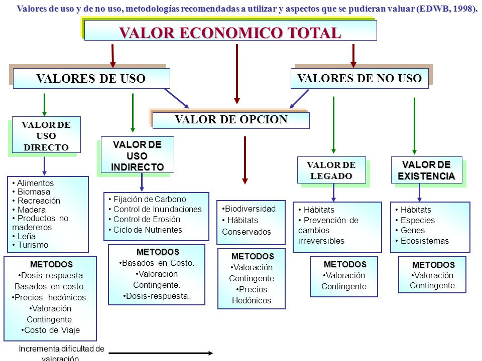 VALOR ECONOMICO TOTAL VALORES DE USO VALORES DE NO USO VALOR DE OPCION
