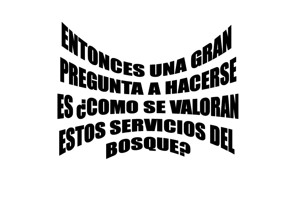 ENTONCES UNA GRAN PREGUNTA A HACERSE ES ¿COMO SE VALORAN ESTOS SERVICIOS DEL BOSQUE
