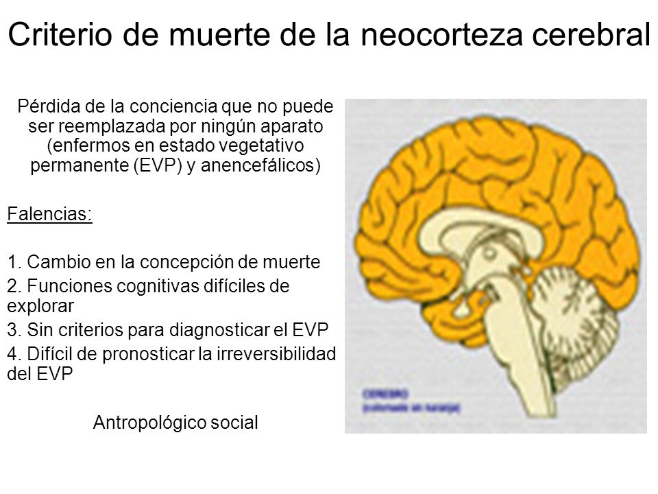 Criterio de muerte de la neocorteza cerebral