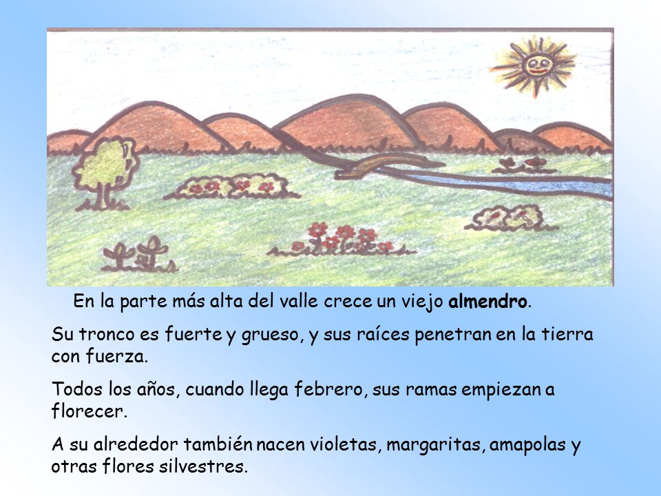 En la parte más alta del valle crece un viejo almendro.