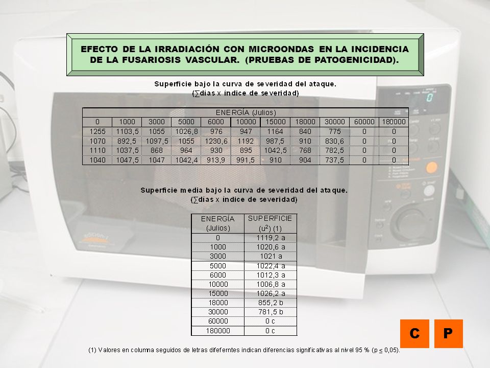 C P EFECTO DE LA IRRADIACIÓN CON MICROONDAS EN LA INCIDENCIA