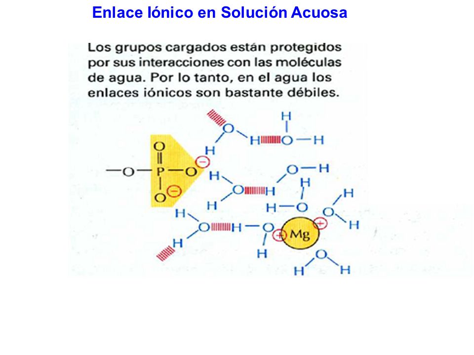 Enlace Iónico en Solución Acuosa