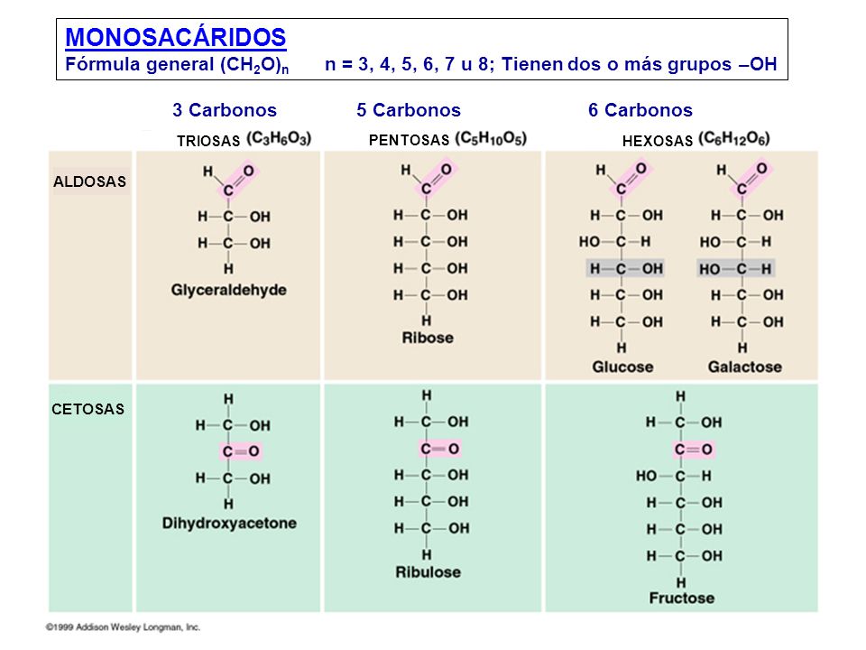 MONOSACÁRIDOS Fórmula general (CH2O)n n = 3, 4, 5, 6, 7 u 8; Tienen dos o más grupos –OH. 3 Carbonos.