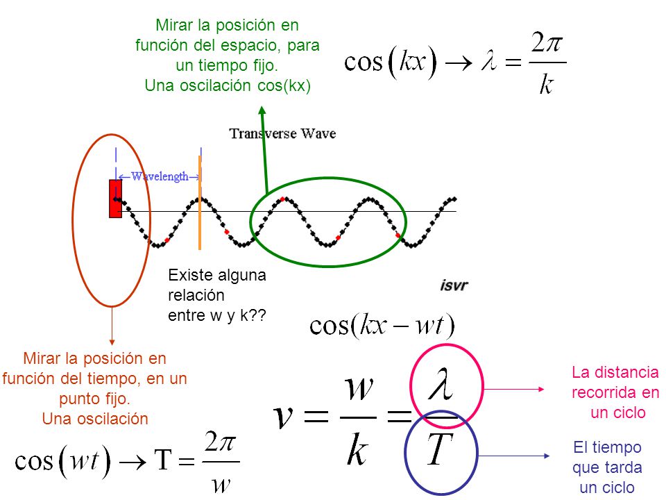 Mirar la posición en función del espacio, para un tiempo fijo.