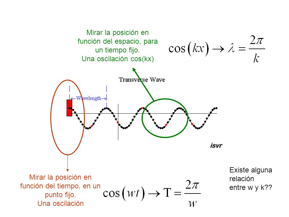 Mirar la posición en función del espacio, para un tiempo fijo.