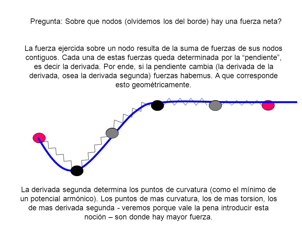 Pregunta: Sobre que nodos (olvidemos los del borde) hay una fuerza neta