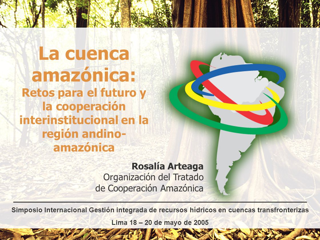 La cuenca amazónica: Retos para el futuro y la cooperación interinstitucional en la región andino-amazónica