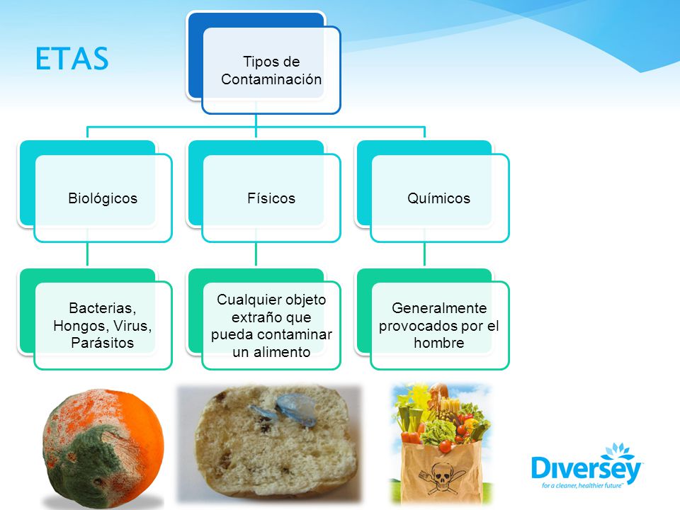 ETAS 8 Tipos de Contaminación Biológicos