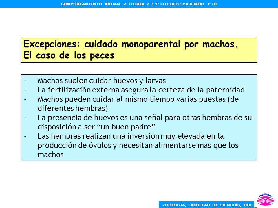 Excepciones: cuidado monoparental por machos. El caso de los peces
