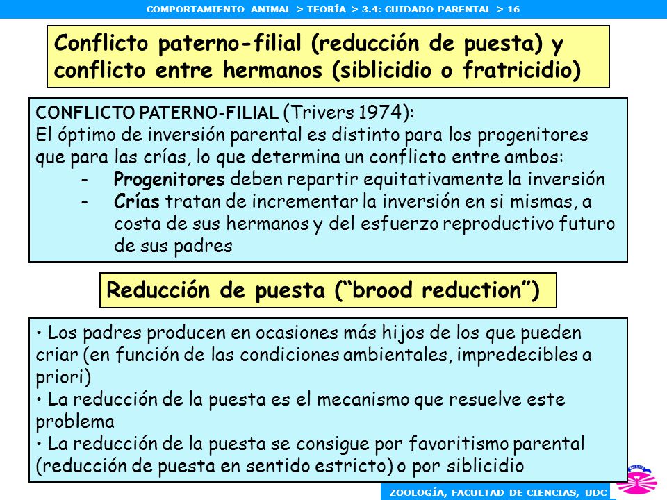 Reducción de puesta ( brood reduction )