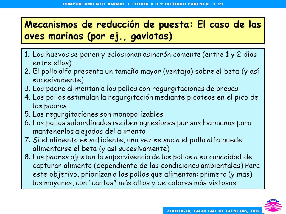 Mecanismos de reducción de puesta: El caso de las aves marinas (por ej