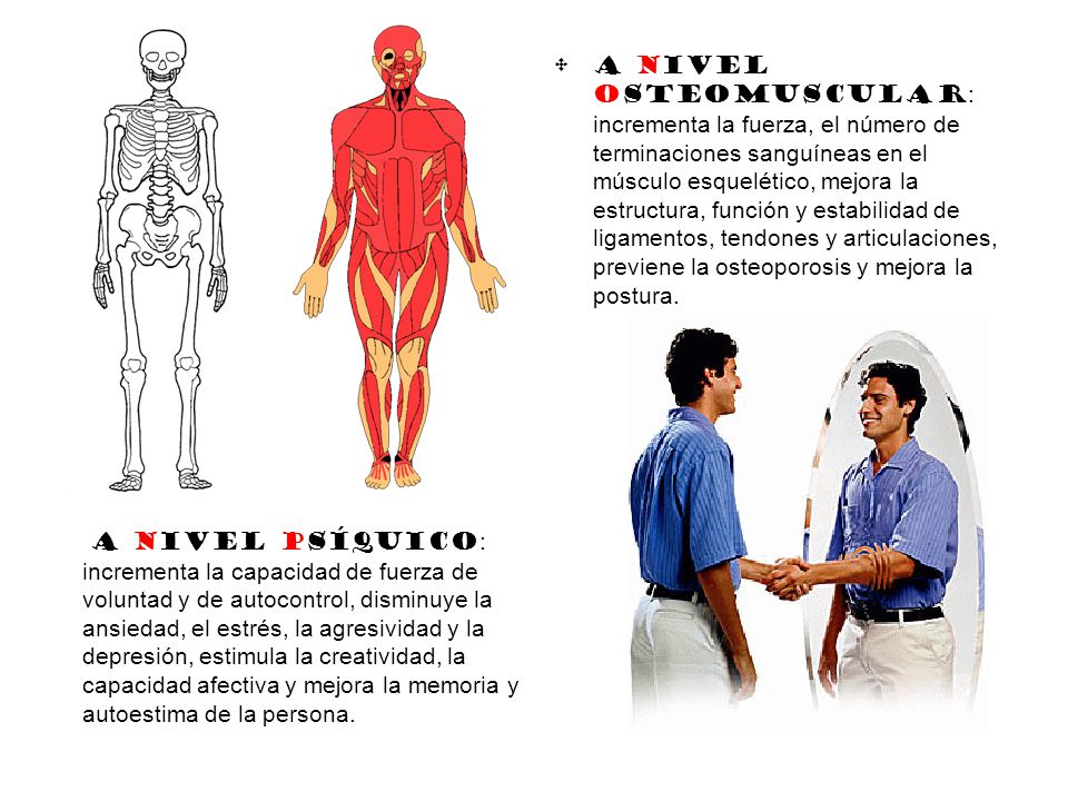 A nivel osteomuscular: incrementa la fuerza, el número de terminaciones sanguíneas en el músculo esquelético, mejora la estructura, función y estabilidad de ligamentos, tendones y articulaciones, previene la osteoporosis y mejora la postura.