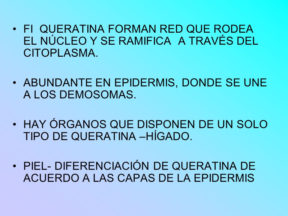 FI QUERATINA FORMAN RED QUE RODEA EL NÚCLEO Y SE RAMIFICA A TRAVÉS DEL CITOPLASMA.
