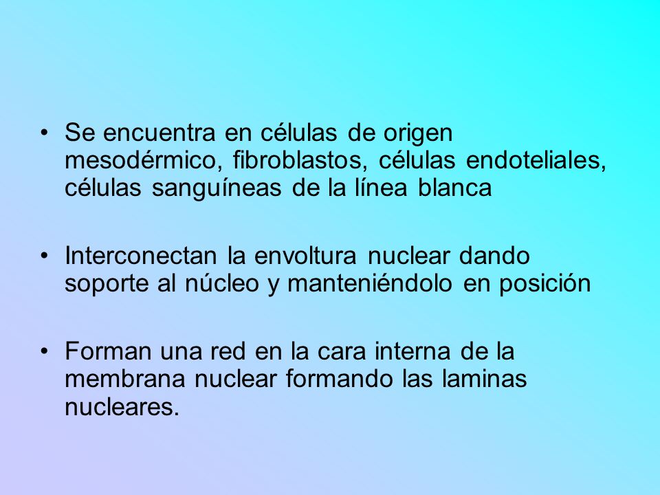 Se encuentra en células de origen mesodérmico, fibroblastos, células endoteliales, células sanguíneas de la línea blanca