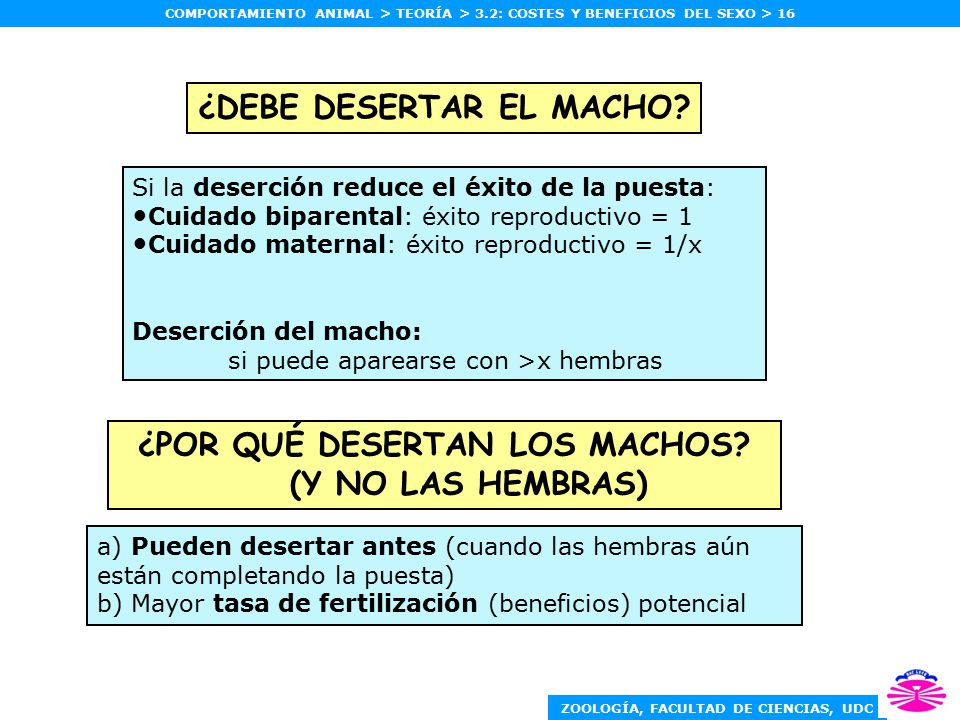 ¿DEBE DESERTAR EL MACHO