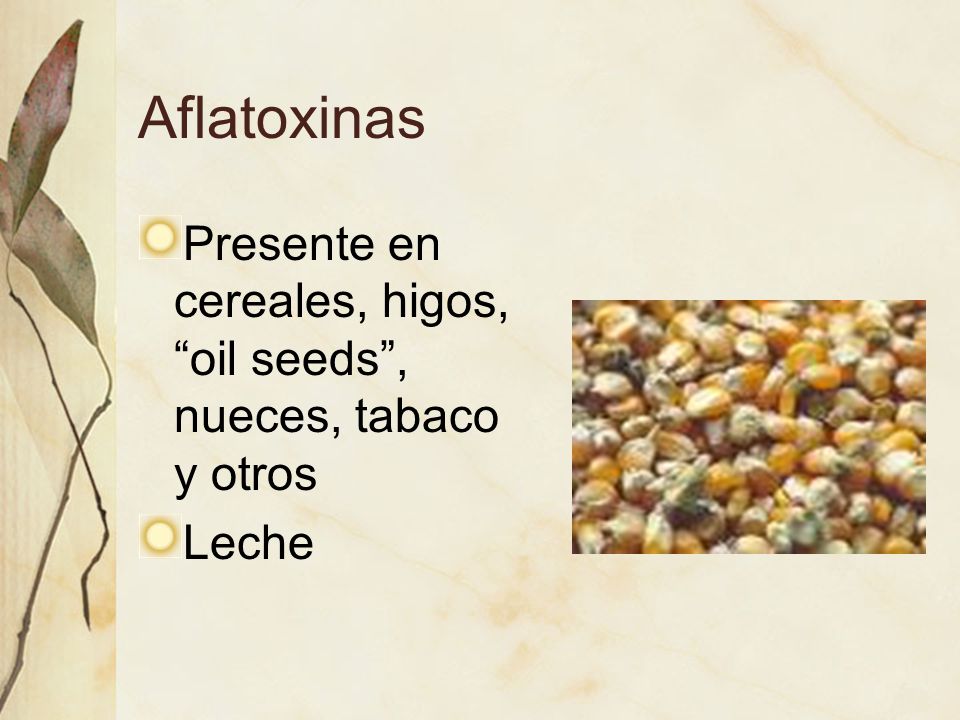 Aflatoxinas Presente en cereales, higos, oil seeds , nueces, tabaco y otros Leche