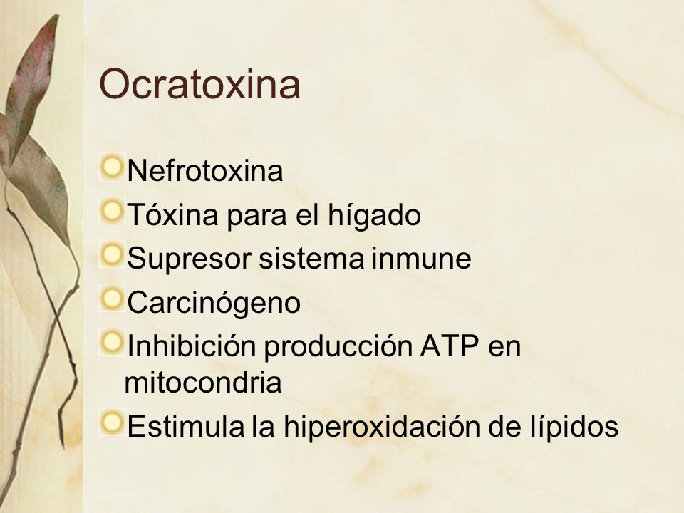 Ocratoxina Nefrotoxina Tóxina para el hígado Supresor sistema inmune