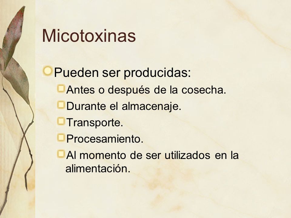 Micotoxinas Pueden ser producidas: Antes o después de la cosecha.