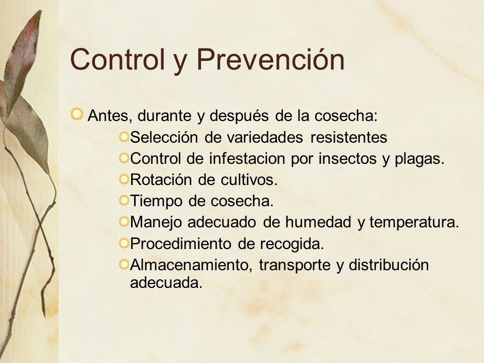 Control y Prevención Antes, durante y después de la cosecha: