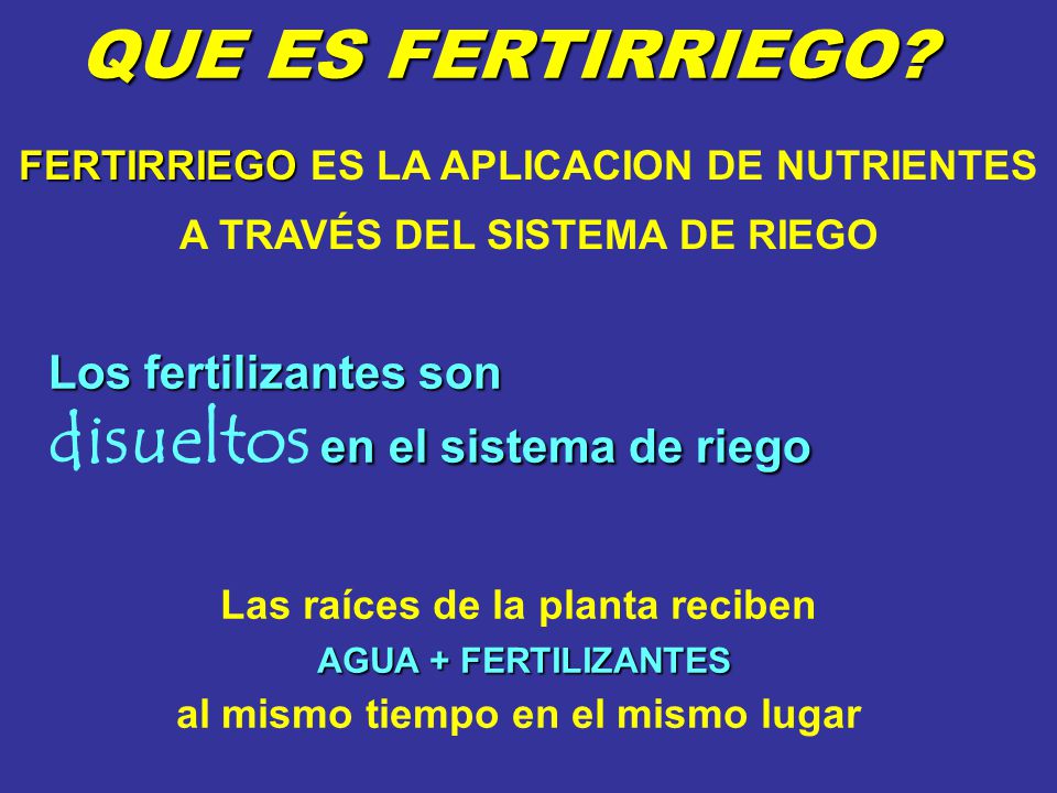 Las raíces de la planta reciben al mismo tiempo en el mismo lugar