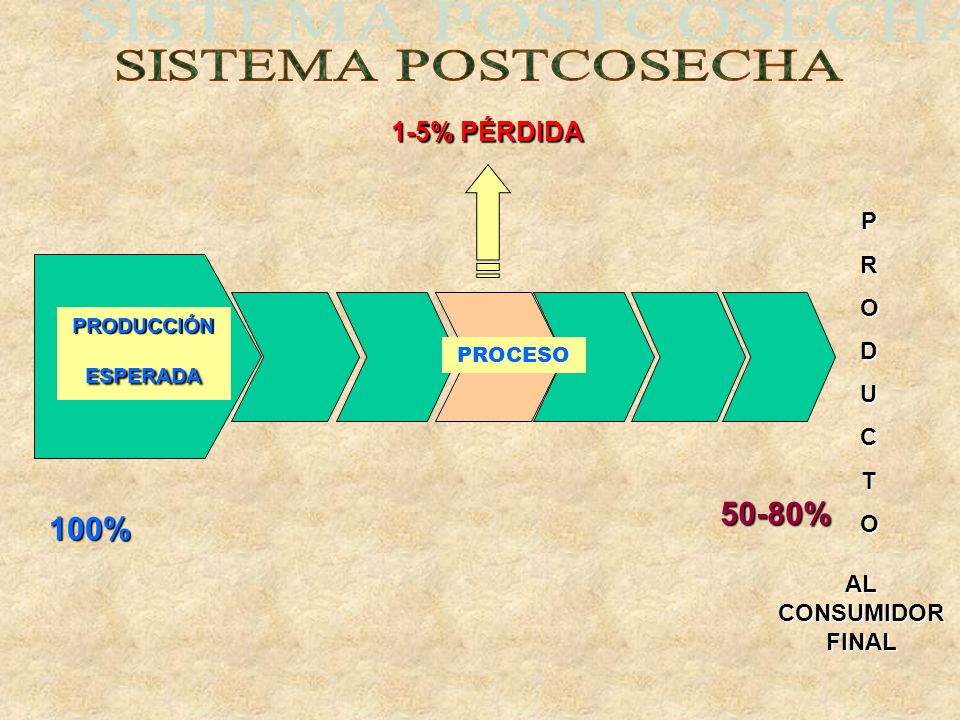 SISTEMA POSTCOSECHA 50-80% 100% 1-5% PÉRDIDA P R O D U C T