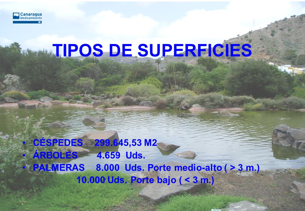 TIPOS DE SUPERFICIES CÉSPEDES ,53 M2 ÁRBOLES Uds.