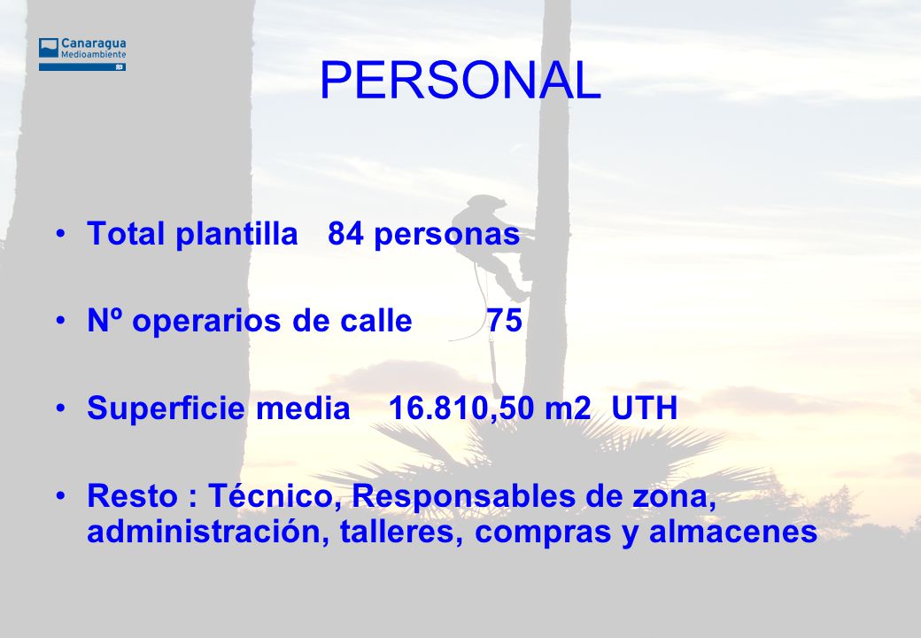 PERSONAL Total plantilla 84 personas Nº operarios de calle 75